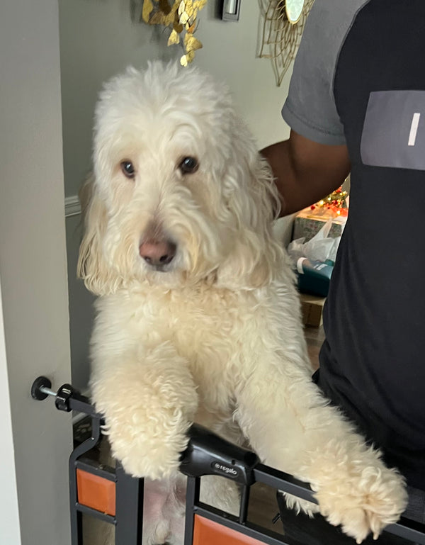 Max